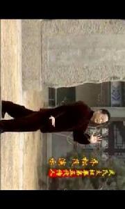 太極拳教程 太極拳教程