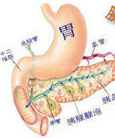 急性胰腺炎 急性胰腺炎