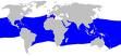 全球分布圖（藍色）