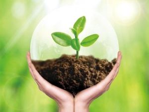 環保項目 環保項目