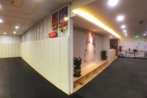 天玉閣柔術學院 天玉閣柔術學院