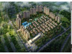 保利紅珊瑚 保利紅珊瑚