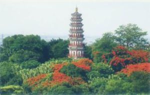 阜峰文筆 阜峰文筆