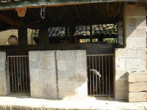 汪家營村發展重點－養殖業