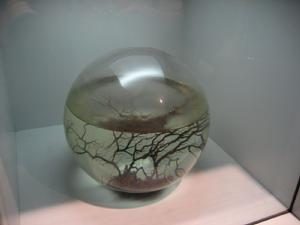 生態球
