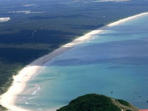 島嶼岸線 島嶼岸線