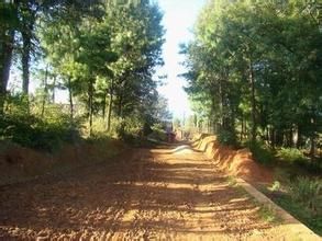 慢陸屯村 慢陸屯村