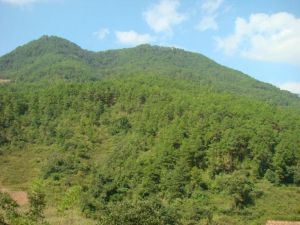 咪哩自然村 咪哩自然村