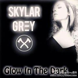 Glow In the Dark[skylar Grey演唱歌曲]