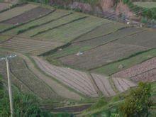 大中村[雲南省楚雄州楚雄市大過口鄉下轄村]