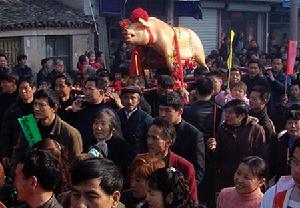 祭品全豬（覆豬）披紅結彩由十餘名壯年男子扛在祭桌上，豬嘴裡含著一個蘋果，寓意歲歲平安