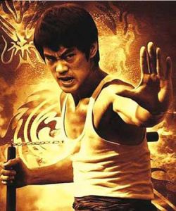 中國影壇八大武術冠軍 中國影壇八大武術冠軍