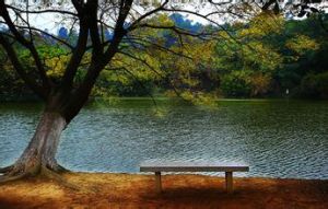 大夫山森林公園