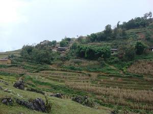 七窩鋪村 七窩鋪村