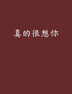 真的很想你[可風演唱的歌曲]