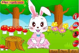 可愛兔子裝 可愛兔子裝