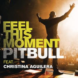 Feel This Moment Feel This Moment