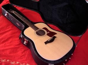 電箱吉他 電箱吉他