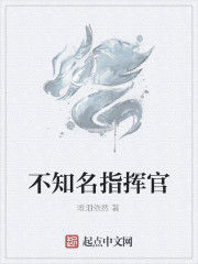 不知名指揮官 不知名指揮官