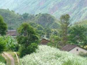 馬安自然村 馬安自然村