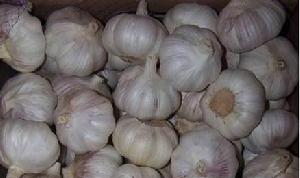 洪祥鎮的大蒜