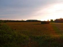 鳳凰山國家森林公園