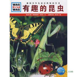 有趣的昆蟲 有趣的昆蟲