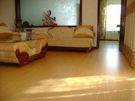 德爾地板 德爾地板