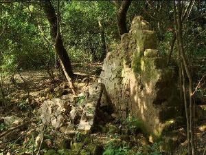 石家河文化 石家河文化