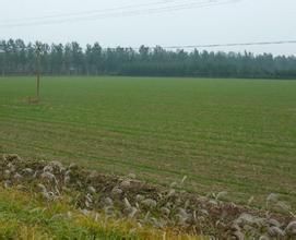 前寨府村 前寨府村