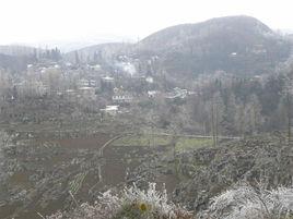 貴州省畢節市大方縣鼎新鄉同心村 貴州省畢節市大方縣鼎新鄉同心村