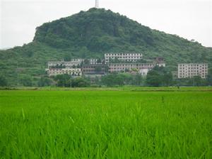 蓼市中學 蓼市中學