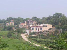 新富村[新昌縣羽林街道下轄行政村]