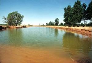 花馬寺國家森林公園