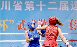 四川省第十二屆運動會武術散打比賽