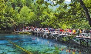 阿壩大九寨旅遊集團 阿壩大九寨旅遊集團