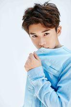 我喜歡這個功利的世界[武藝音樂專輯]