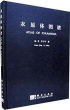 衣原體圖譜