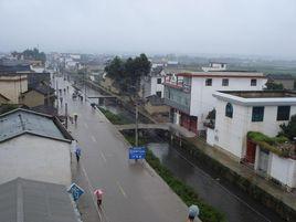 大紅花一村 大紅花一村