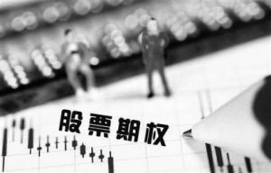 股票期權制 股票期權制