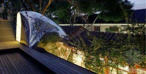 胡同泡泡 胡同泡泡