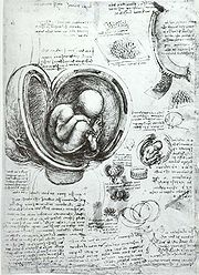達文西的《胚胎研究》(約在西元1510年)