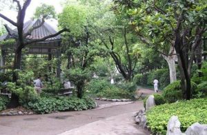 上海惠民公園 上海惠民公園