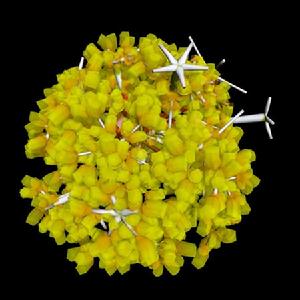 （圖）電腦病毒