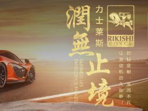 力士萊斯能源(深圳)有限公司 力士萊斯能源(深圳)有限公司