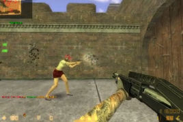 CSOL單機版小龍蛇年賀歲版 CSOL單機版小龍蛇年賀歲版