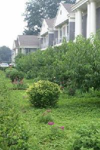 小湯山醫院 小湯山醫院