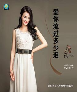 愛你流過多少淚 愛你流過多少淚