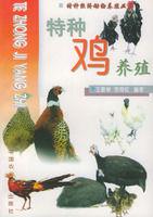 特種雞養殖 特種雞養殖