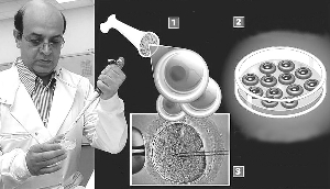 （圖）科學研究